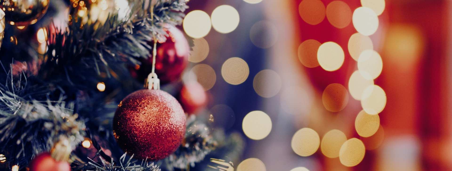 Sabato 18 ottobre ti aspettiamo per la presentazione ufficiale del Natale 2025 da Romagna Garden